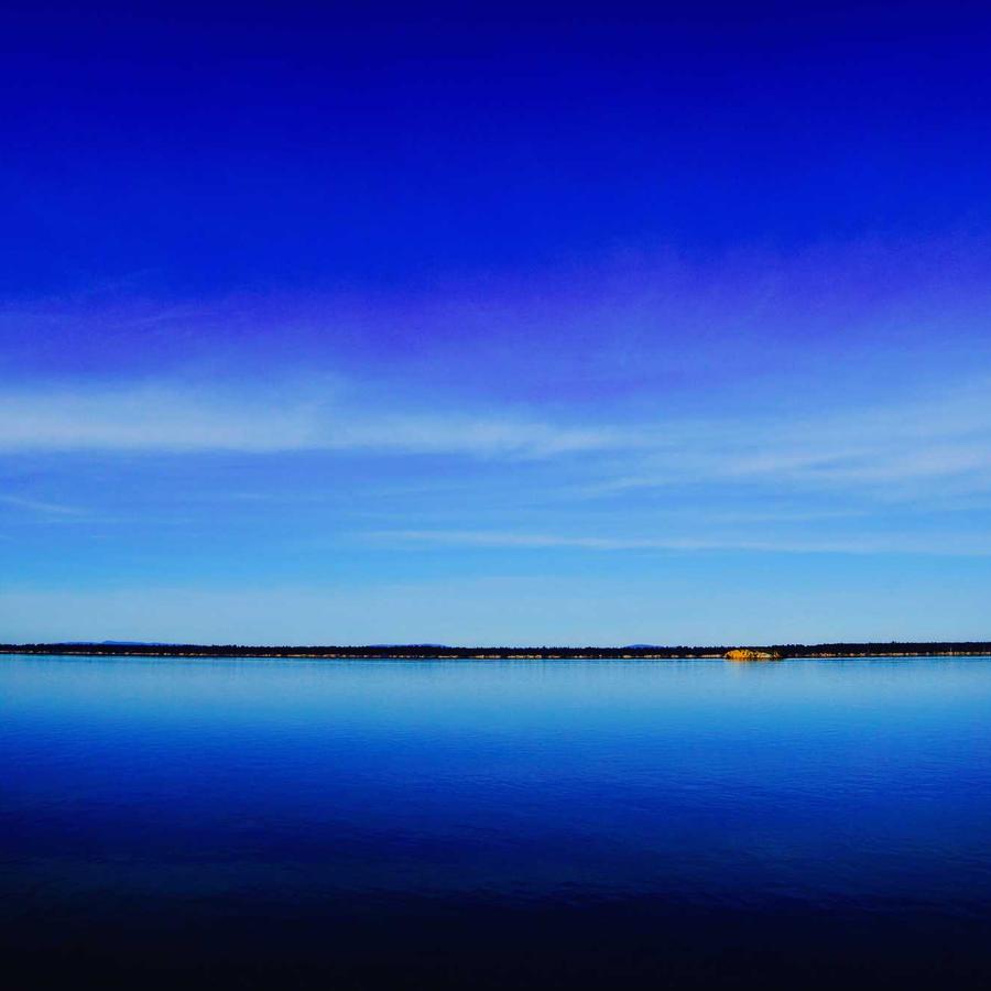 Sandalia Rasteira Signature