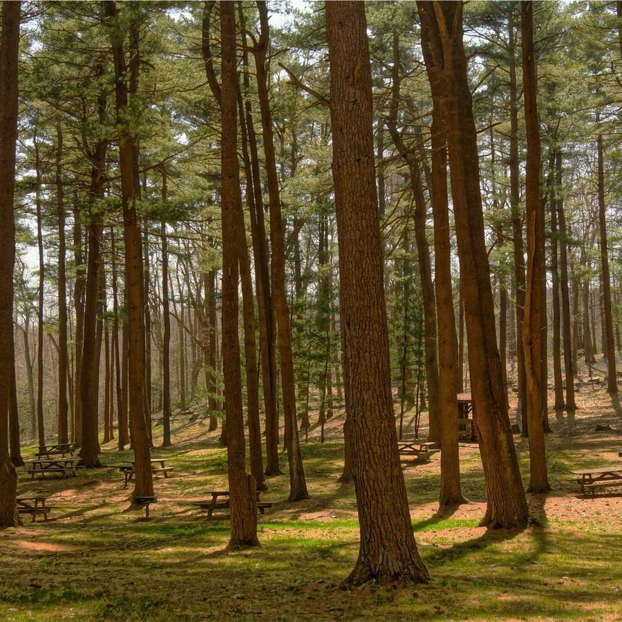 Bule Termico Essenciais