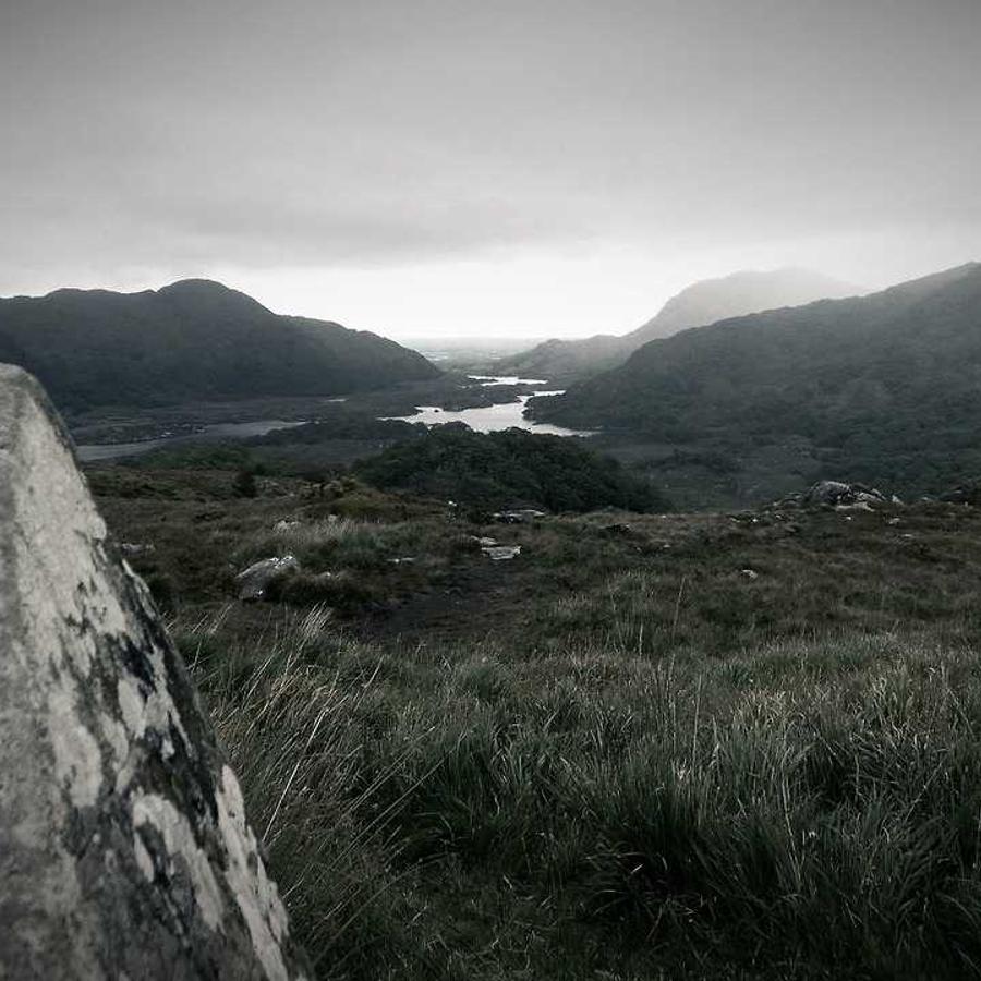 Edredom Casal Signature