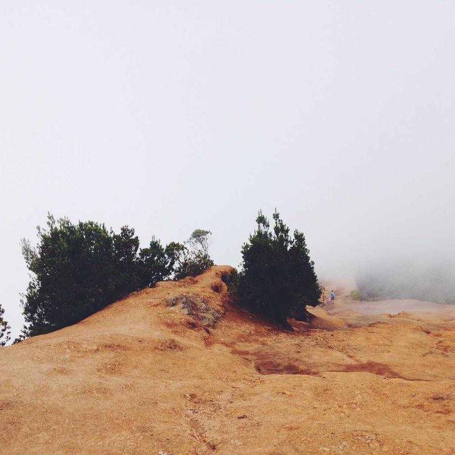 Faqueiro Inox Essenciais