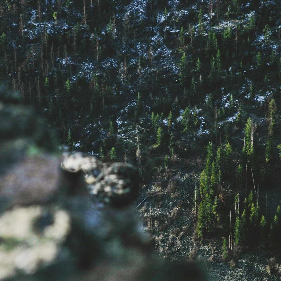 Jogo de Panelas Essenciais