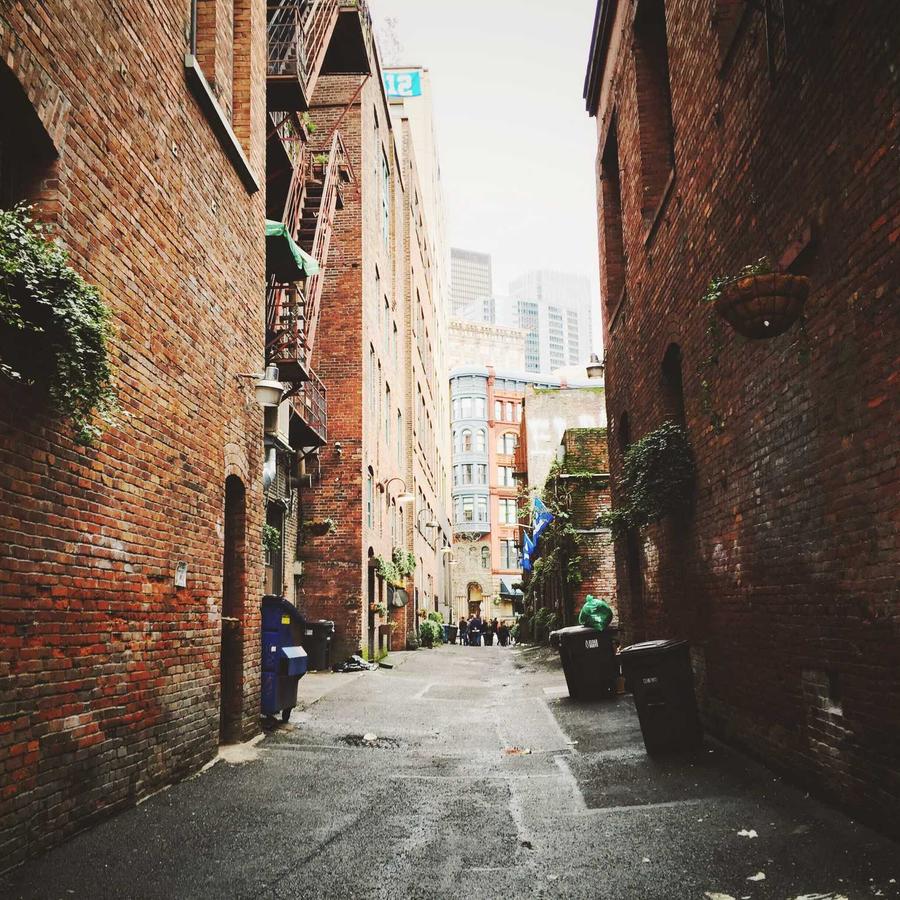 Organizador Multiuso Essenciais