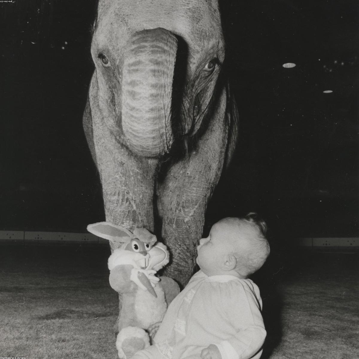 Banheira Dobravel Essenciais