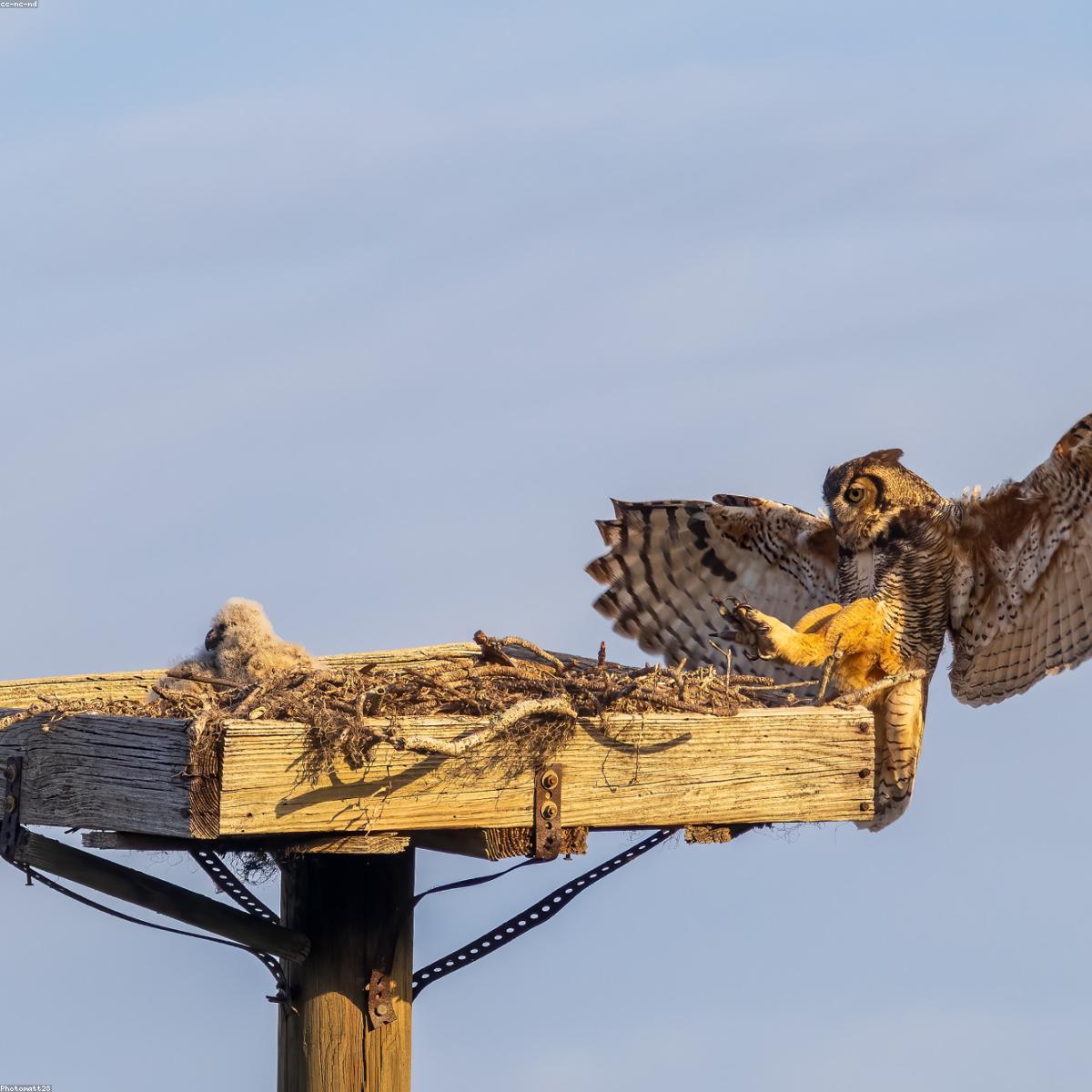 Banheira Dobravel Selecao