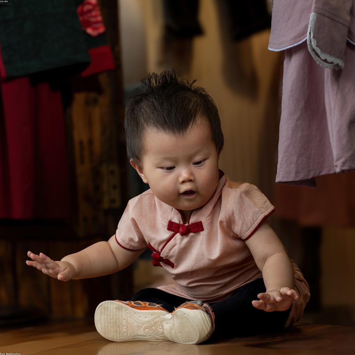 Brinquedo Educativo Selecao