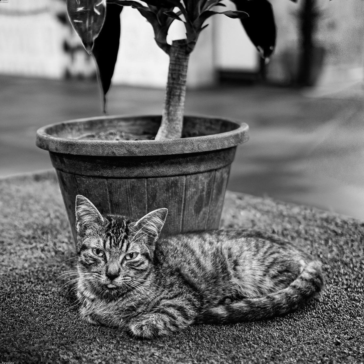 Kit Higiene Bebe Selecao