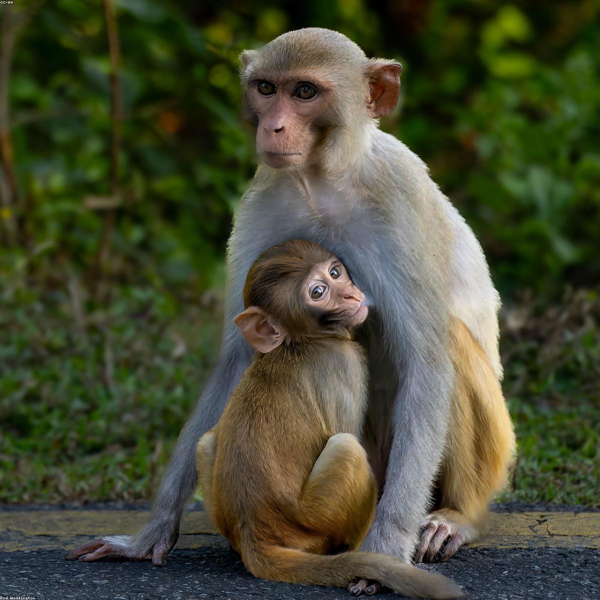 Termometro Digital Selecao