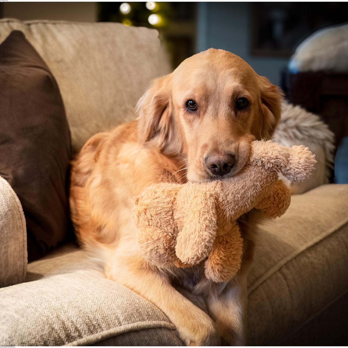 Almofada Amamentacao Selecao