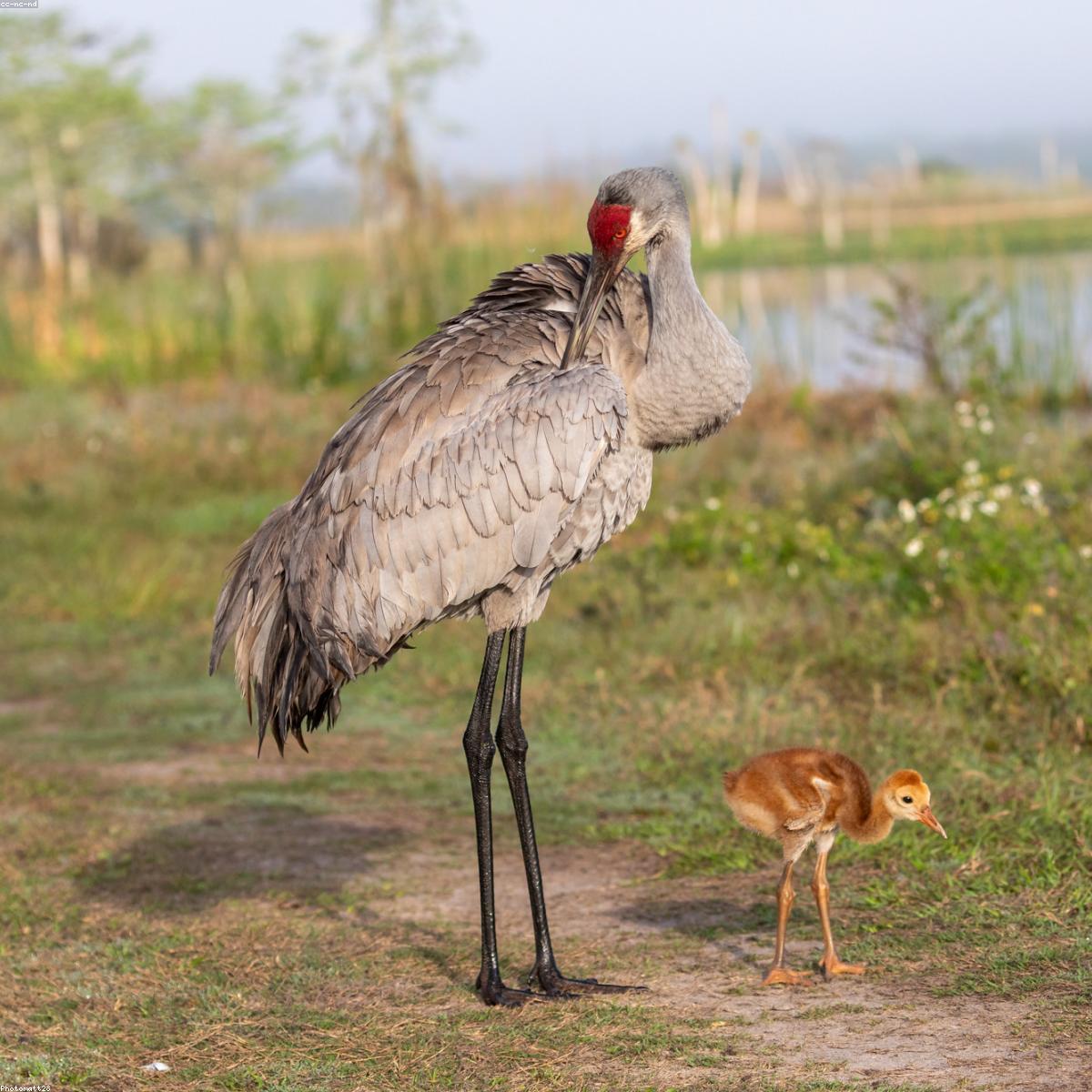 Mochila Infantil Essenciais