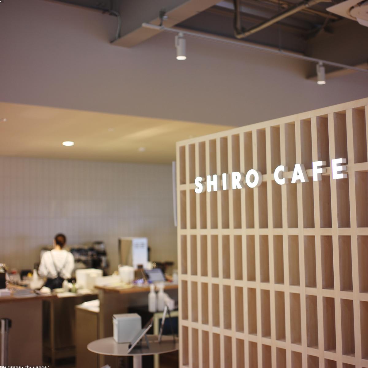 Primer Facial Selecao