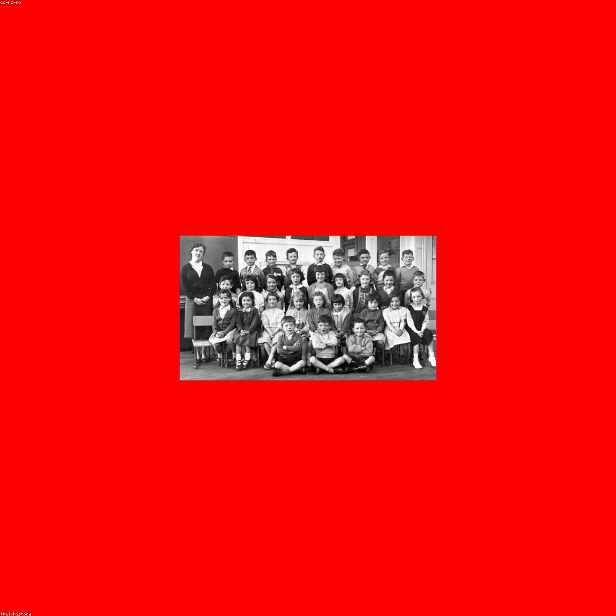 Sapato Social Selecao