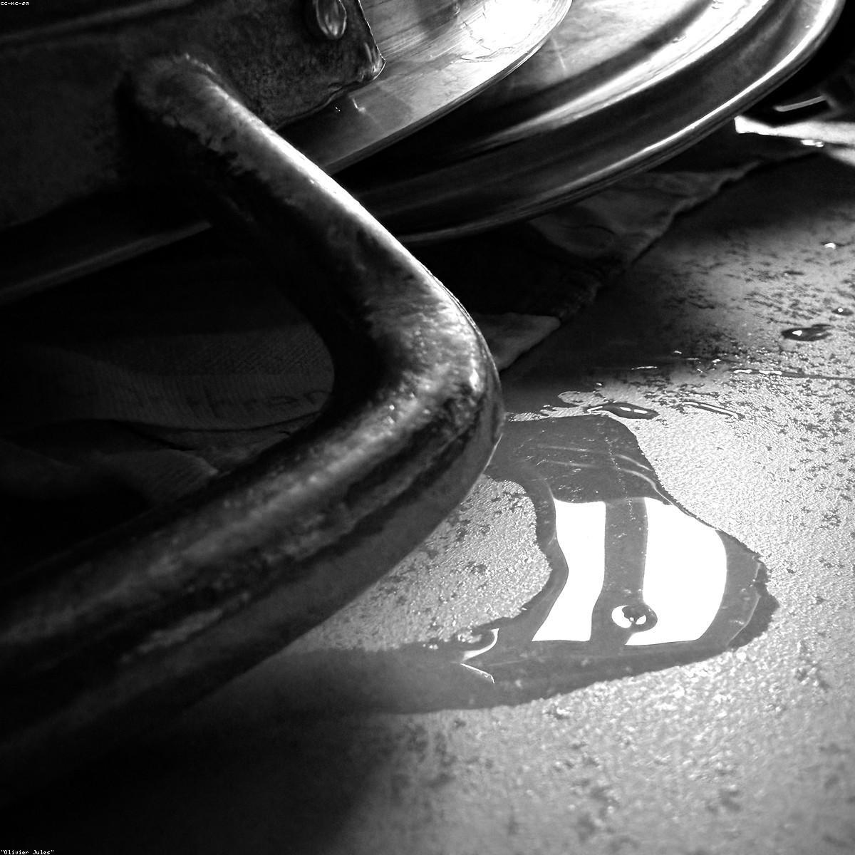 Organizador Multiuso Essenciais