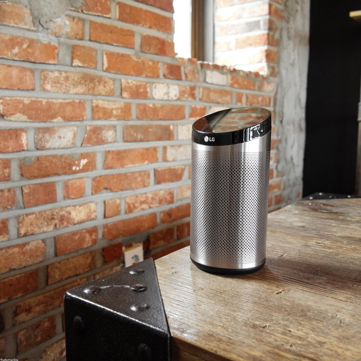 Ferro a Vapor Selecao