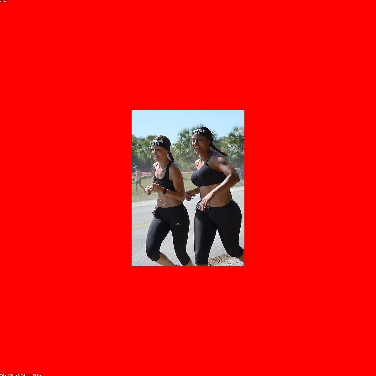 Suporte Flexao Essenciais