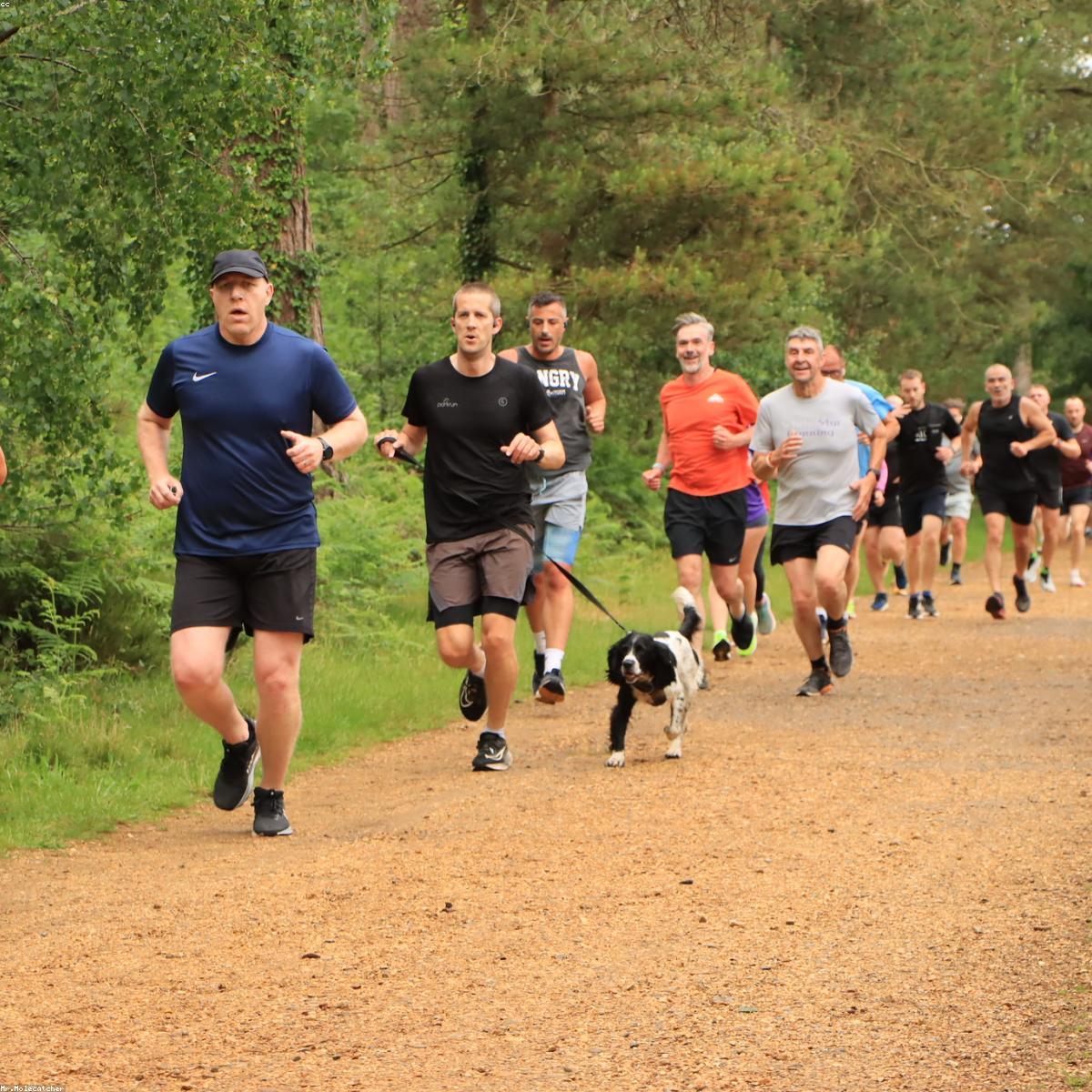 Colchonete Essenciais