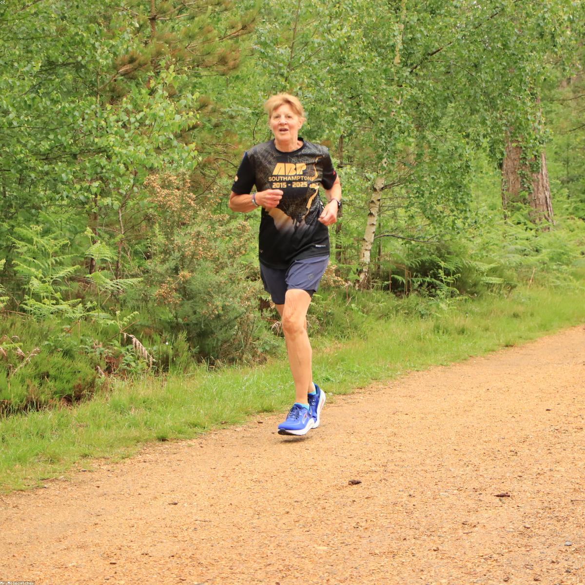 Suporte Flexao Essenciais