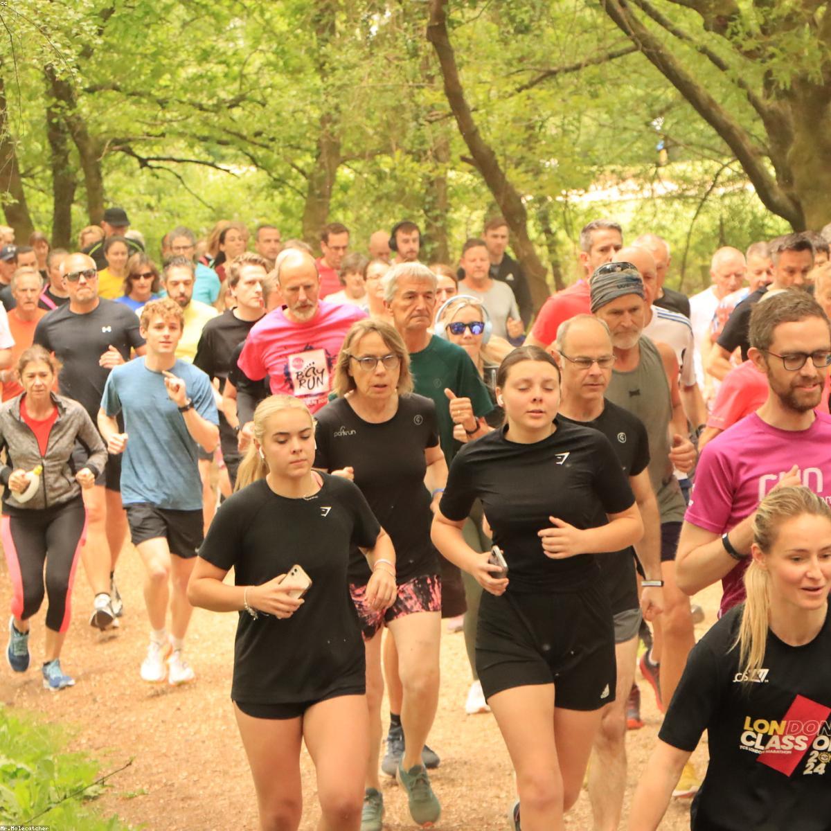 Cordas Funcionais Essenciais
