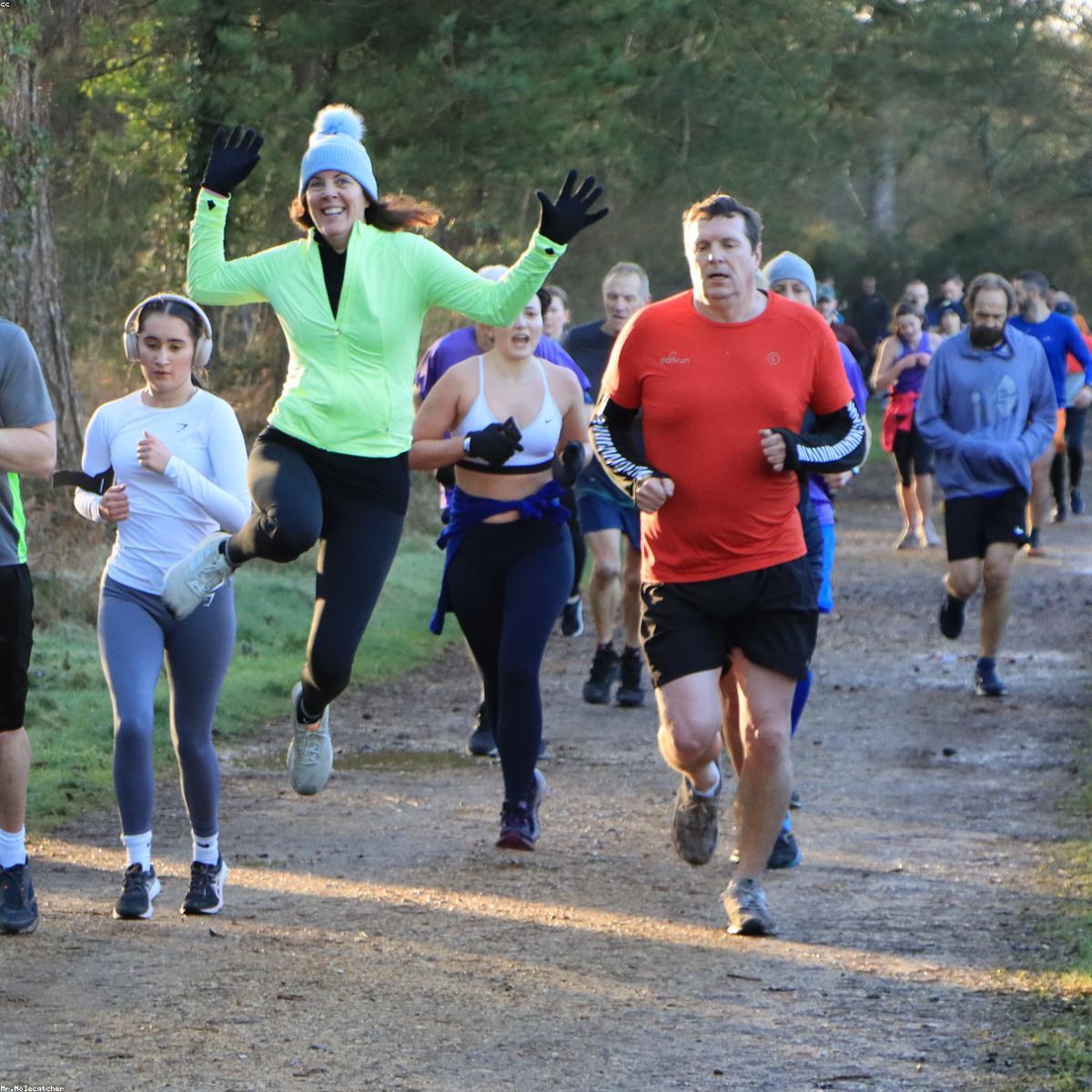 Cordas Funcionais Selecao