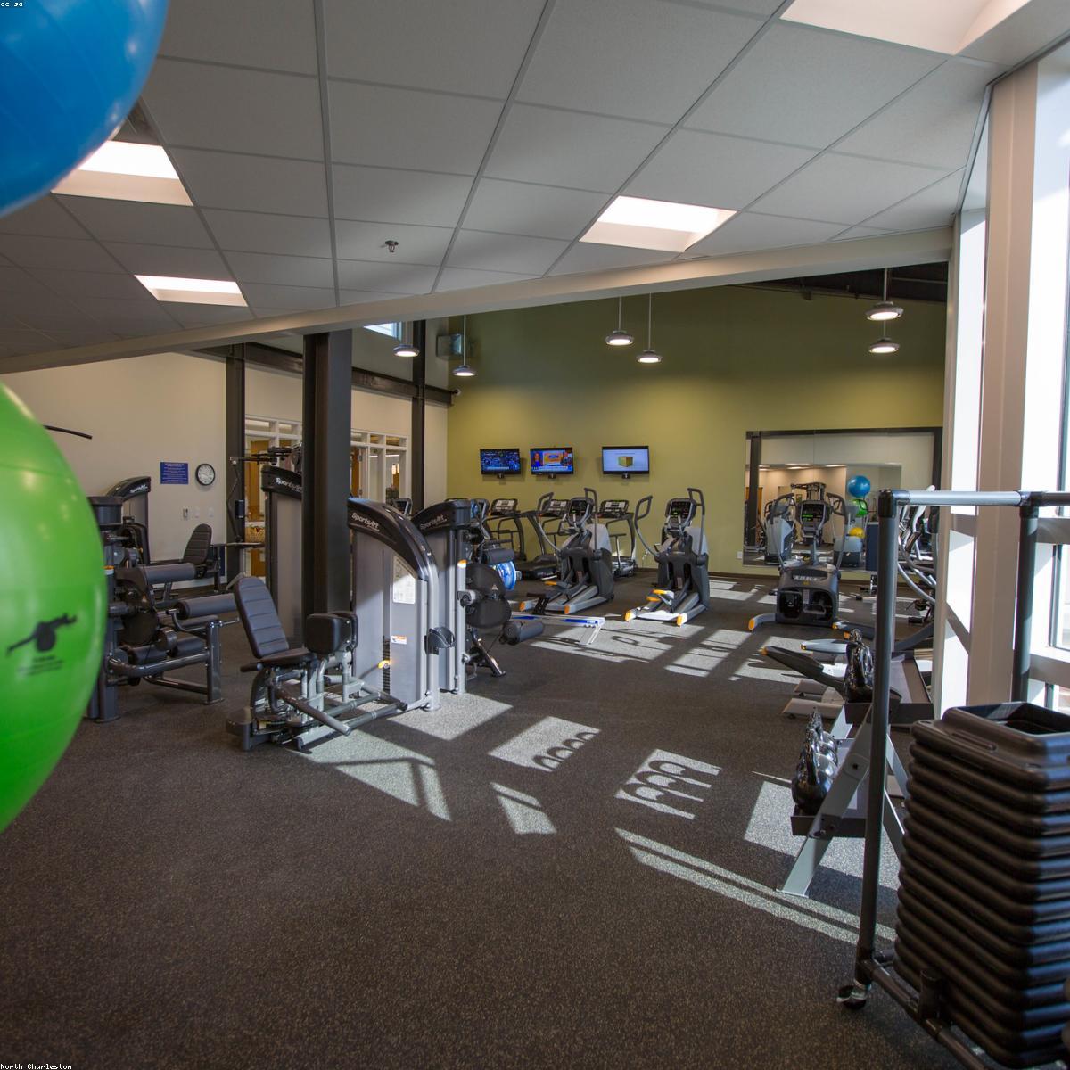 Top Performance Selecao