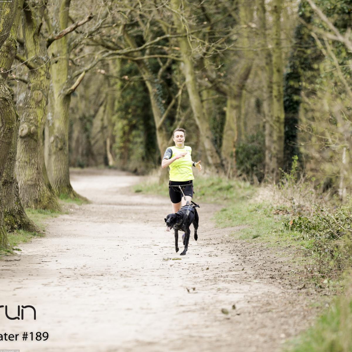 Faixa Elastica Signature