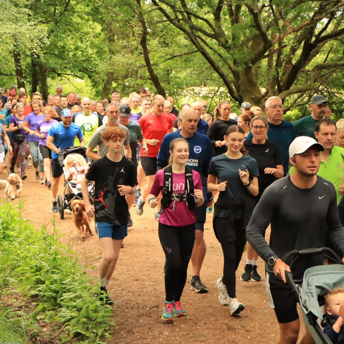 Kit Halteres Essenciais