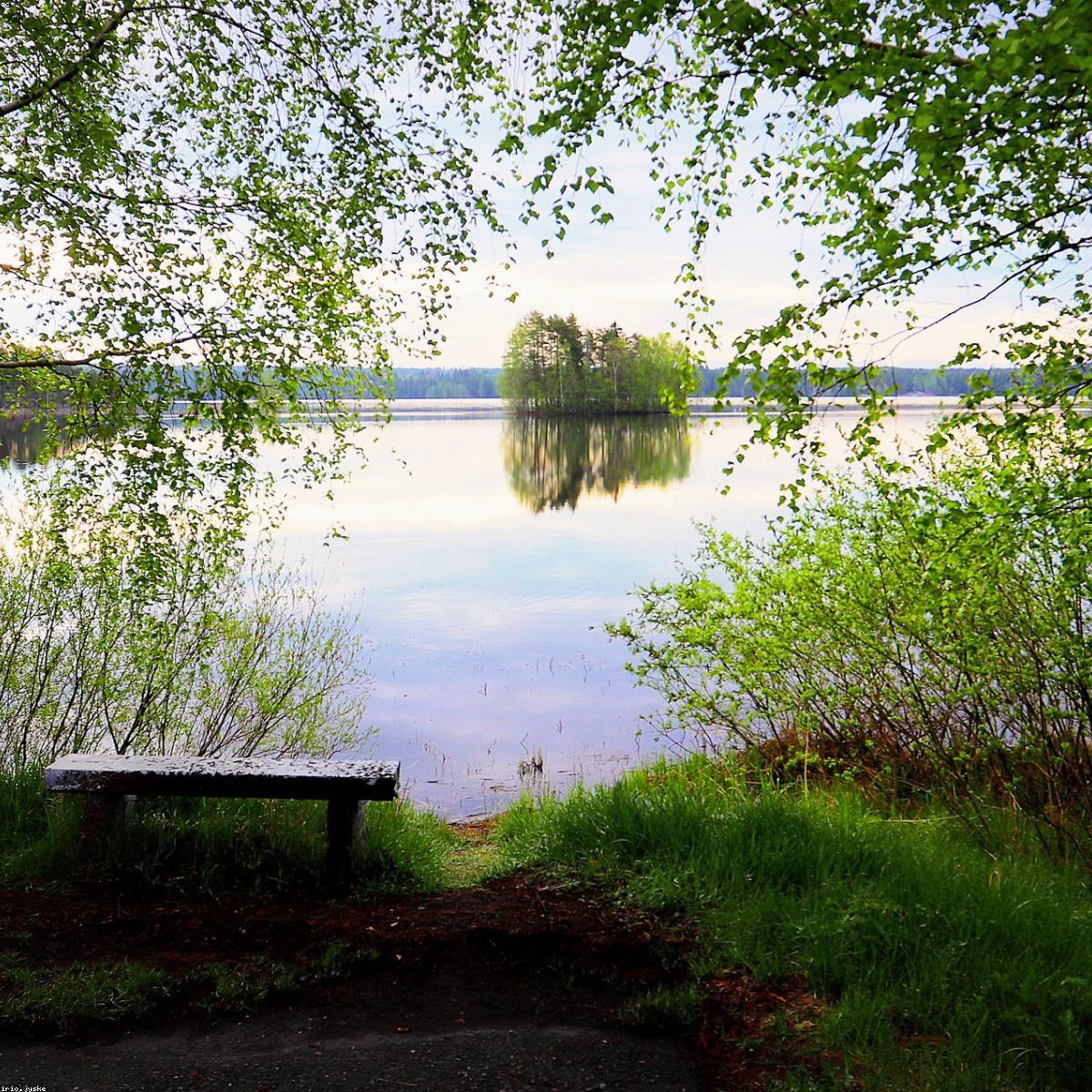 Estante Nichos Selecao