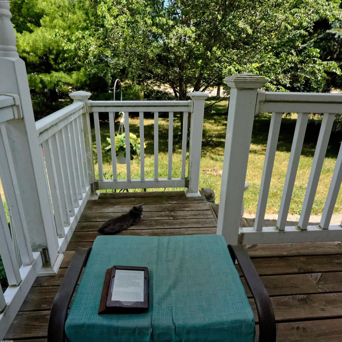 Banco Estofado Signature